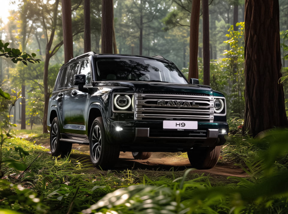 Фото 6 — Популярные проблемы Haval