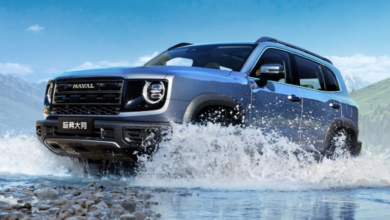 Photo of Haval Big Dog